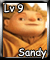 Sandy (L9)