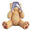 Bearas