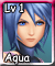 Aqua (L1)