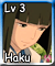 Haku SA (L3)
