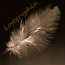 lostgryphin's Avatar
